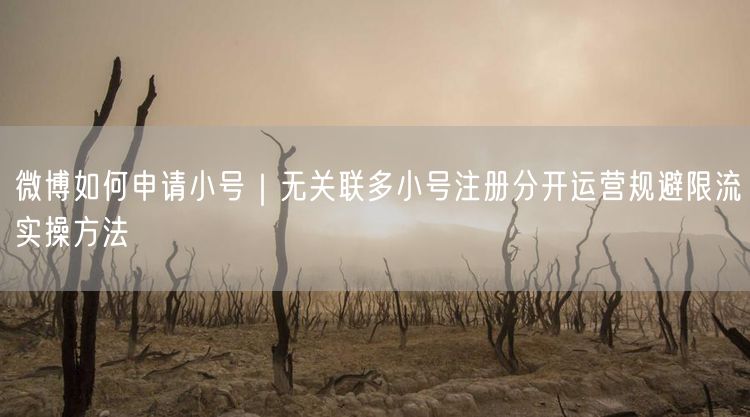 微博小号申请全攻略：无关联注册+运营+规避限流实操