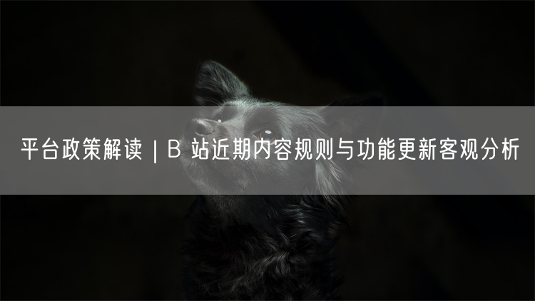 B站内容规则与功能更新：审核升级、弹幕互动及激励调整