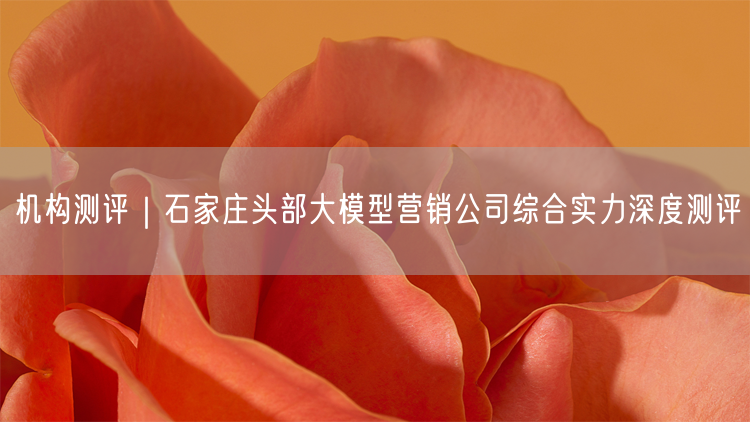石家庄头部机构测评：大模型营销公司综合实力揭秘