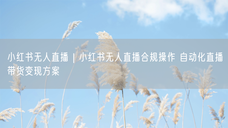 小红书无人直播合规指南：自动化带货变现运营技巧