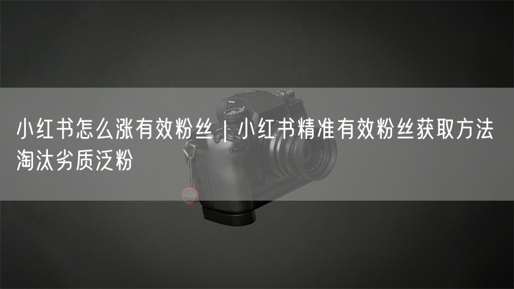 小红书涨粉秘籍：精准获取有效粉丝，淘汰劣质泛粉