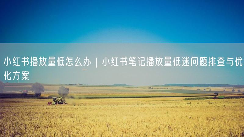 小红书播放量低？全面排查与优化方案提升流量