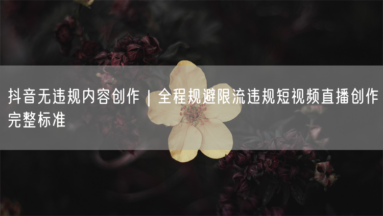 抖音无违规创作指南：短视频限流规避与直播内容标准