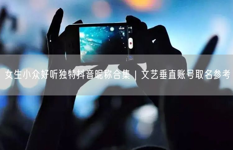 女生抖音小众好听独特昵称大合集｜文艺取名参考