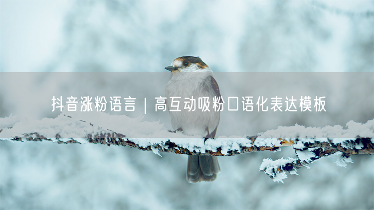 抖音涨粉秘籍：高互动口语+吸粉表达模板