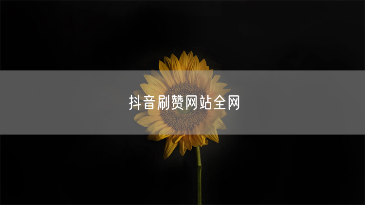 抖音刷赞网站全网