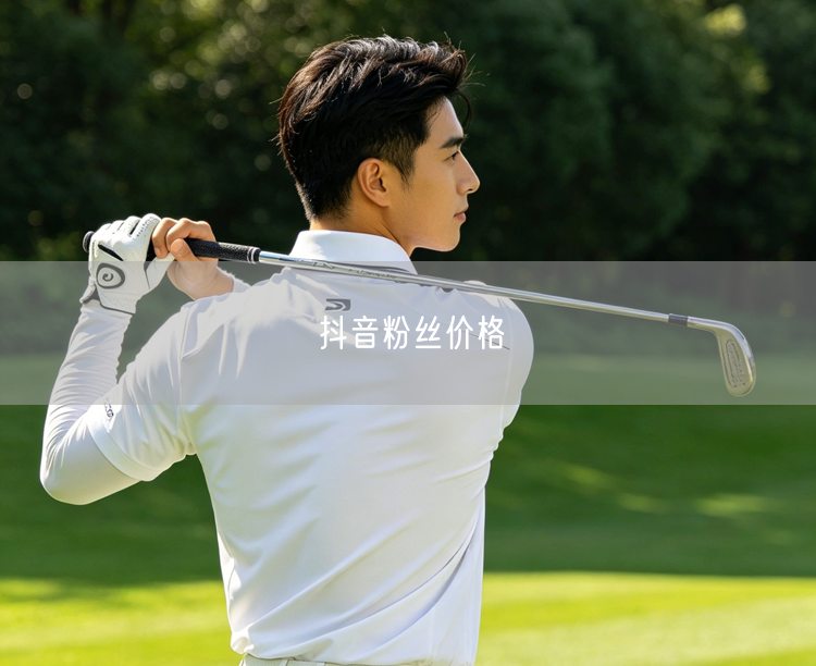 抖音粉丝价格