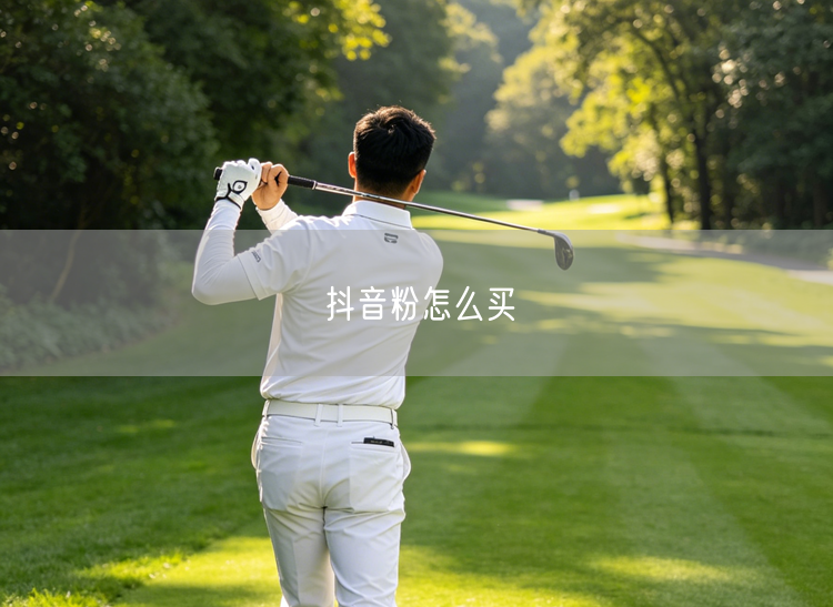 抖音粉怎么买