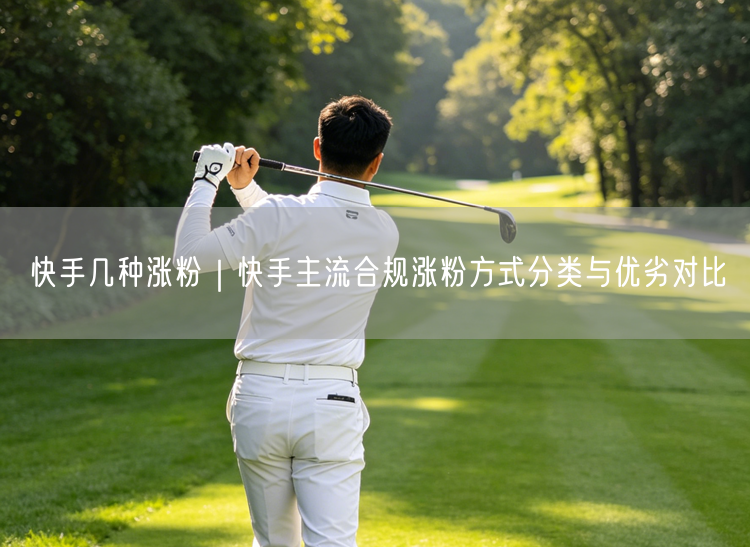 快手几种涨粉｜快手主流合规涨粉方式分类与优劣对比