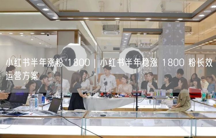 小红书半年涨粉 1800|小红书半年稳涨 1800 粉长效运营方案