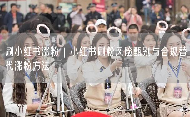 小红书涨粉避坑指南：刷粉风险与合规运营涨粉法