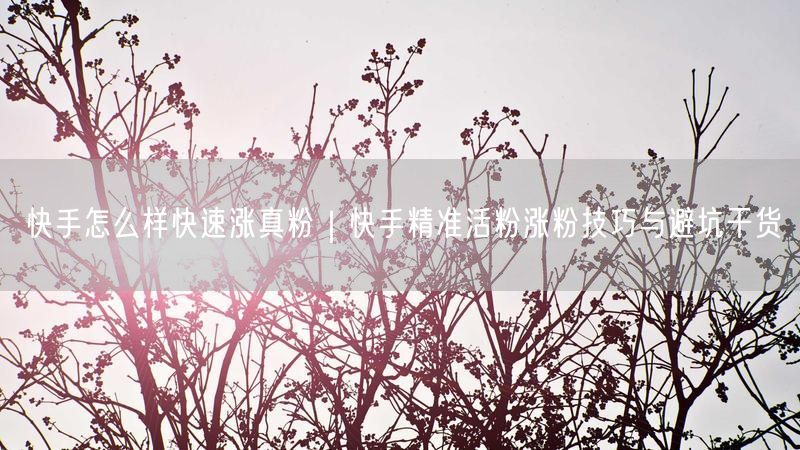 快手怎么样快速涨真粉｜快手精准活粉涨粉技巧与避坑干货