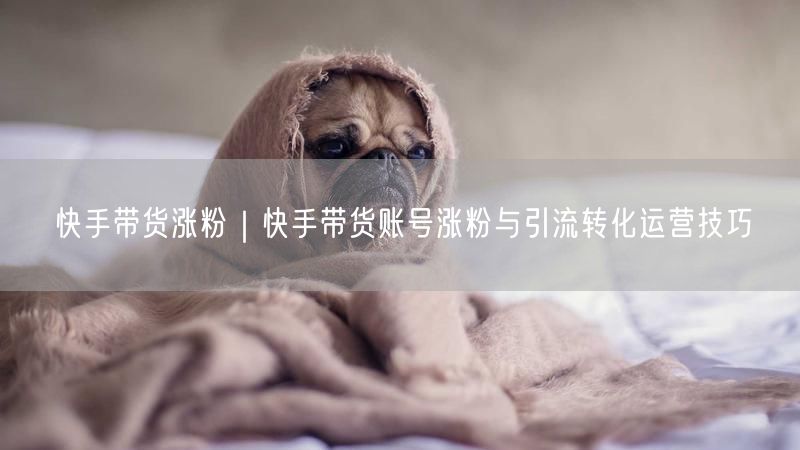 快手带货涨粉｜快手带货账号涨粉与引流转化运营技巧