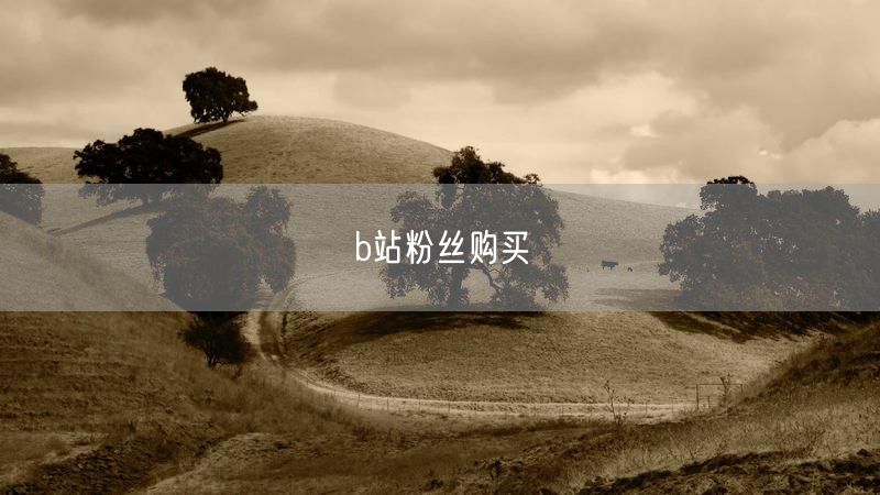b站粉丝购买