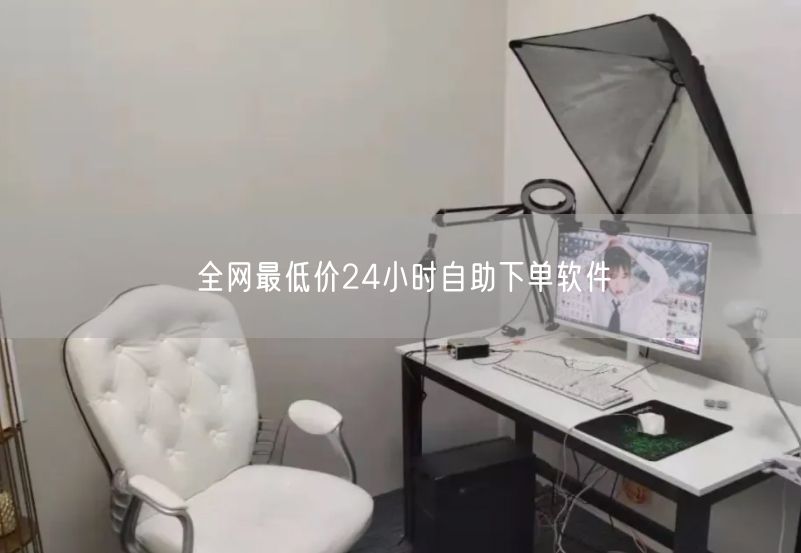 全网最低价24小时自助下单软件