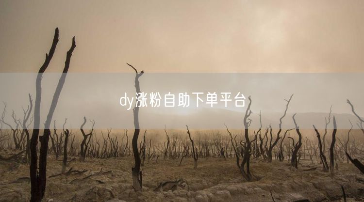 dy涨粉自助下单平台