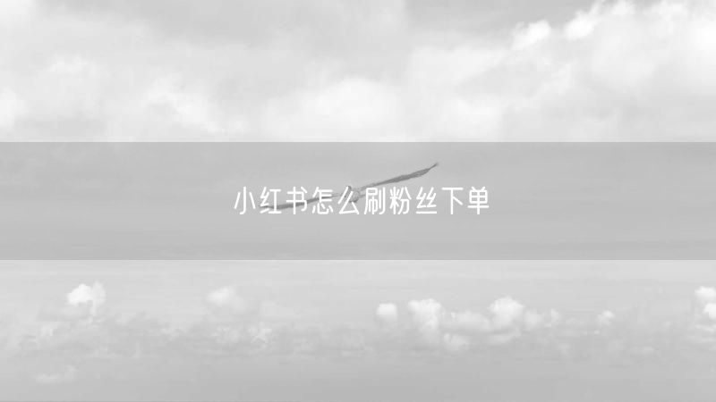 小红书怎么刷粉丝下单