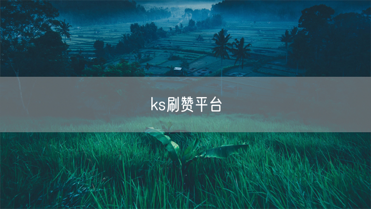 ks刷赞平台