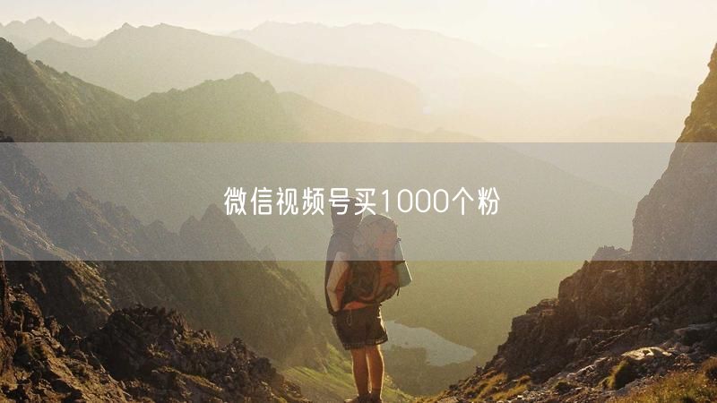 微信视频号买1000个粉