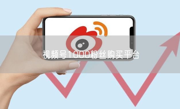 视频号1000粉丝购买平台