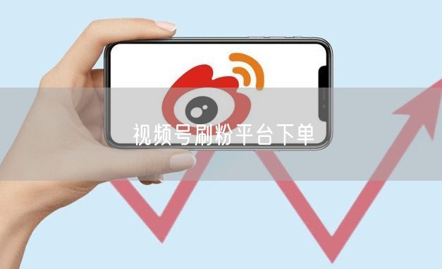 视频号刷粉平台下单