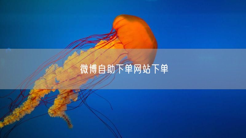 微博自助下单网站下单