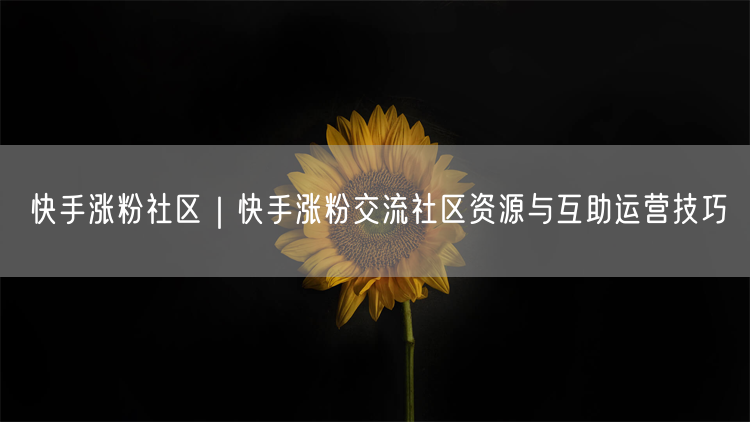 快手涨粉社区｜快手涨粉交流社区资源与互助运营技巧