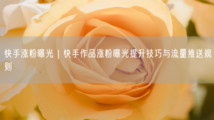 快手涨粉曝光｜快手作品涨粉曝光提升技巧与流量推送规则