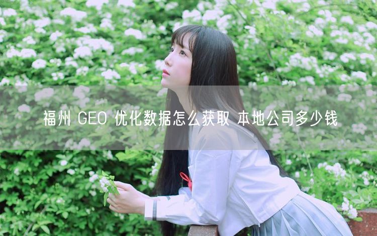 福州 GEO 优化数据怎么获取 本地公司多少钱