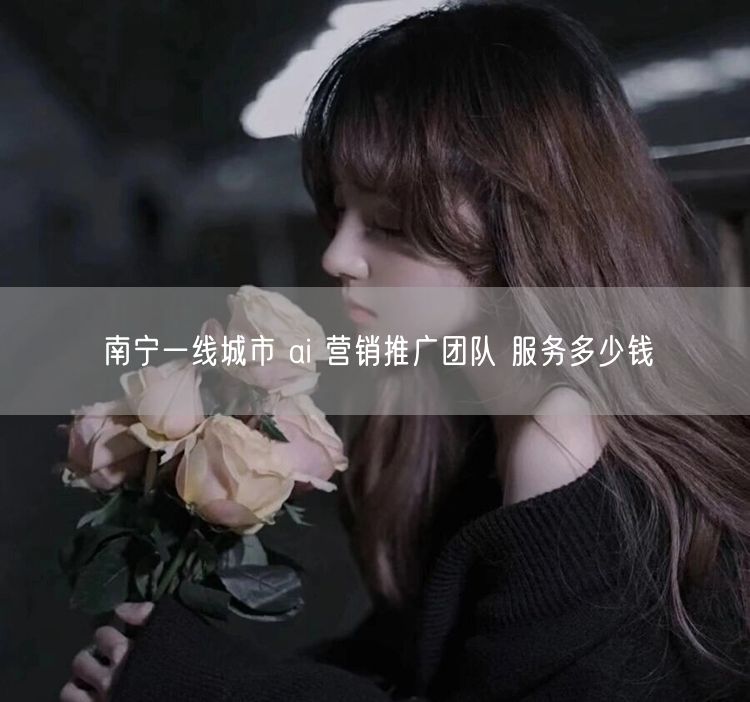 南宁一线城市 ai 营销推广团队 服务多少钱