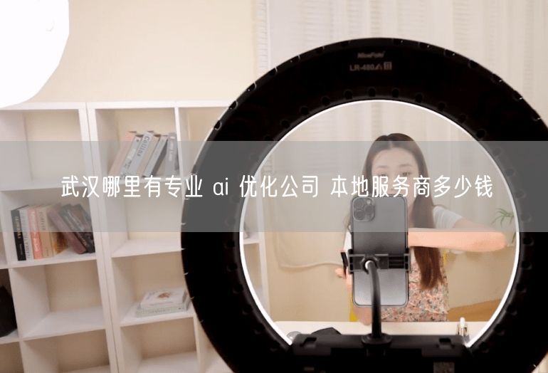 武汉哪里有专业 ai 优化公司 本地服务商多少钱