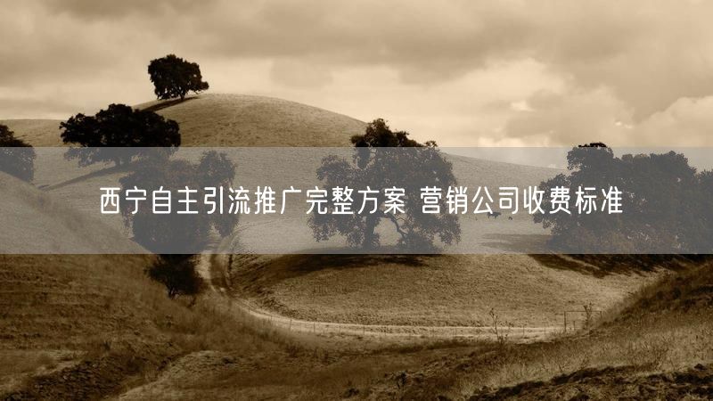 西宁自主引流推广完整方案 营销公司收费标准