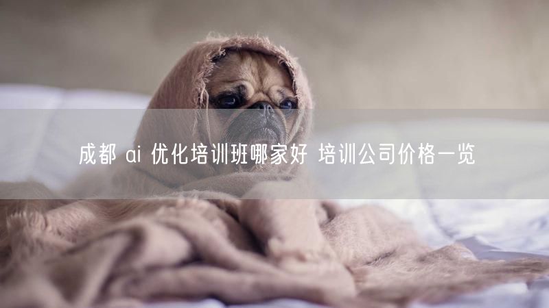 成都 ai 优化培训班哪家好 培训公司价格一览