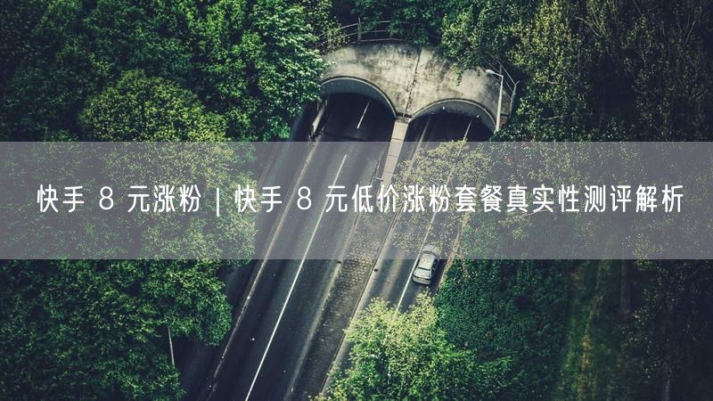 快手 8 元涨粉｜快手 8 元低价涨粉套餐真实性测评解析