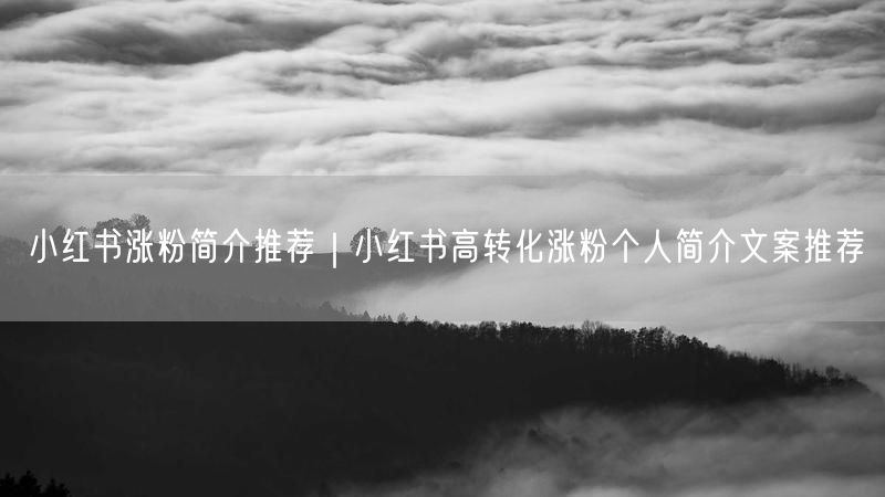 小红书涨粉简介推荐｜小红书高转化涨粉个人简介文案推荐