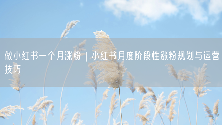 做小红书一个月涨粉｜小红书月度阶段性涨粉规划与运营技巧