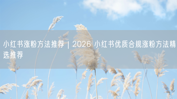 小红书涨粉方法推荐｜2026 小红书优质合规涨粉方法精选推荐