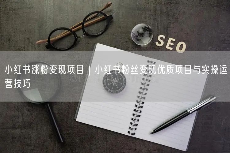 小红书涨粉变现项目｜小红书粉丝变现优质项目与实操运营技巧