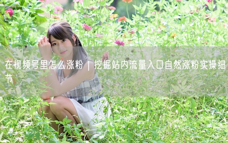 在视频号里怎么涨粉｜挖掘站内流量入口自然涨粉实操细节