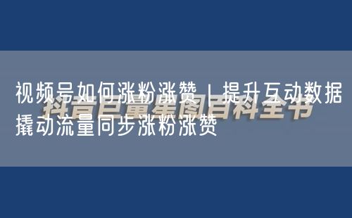视频号如何涨粉涨赞｜提升互动数据撬动流量同步涨粉涨赞