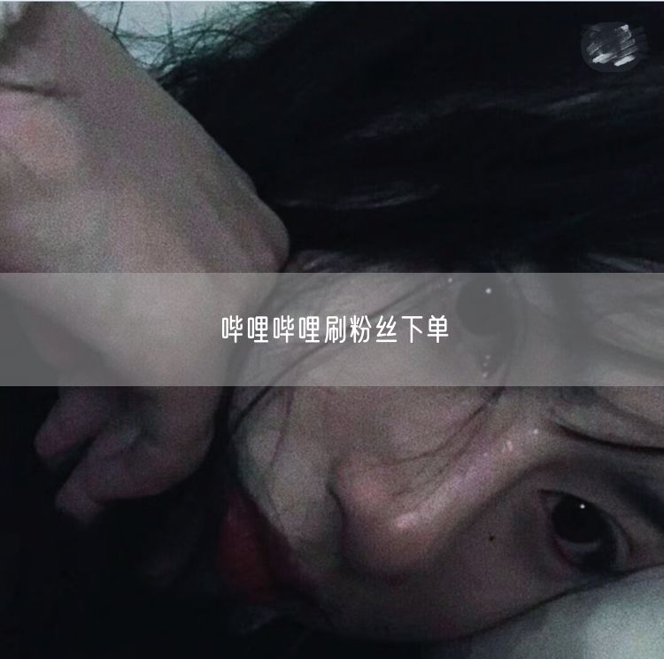 哔哩哔哩刷粉丝下单