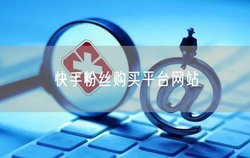 快手粉丝购买平台网站