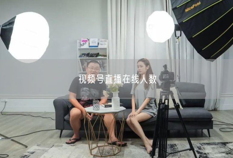 视频号直播在线人数