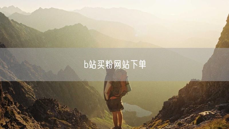 b站买粉网站下单