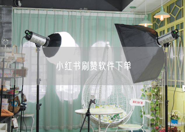 小红书刷赞软件下单