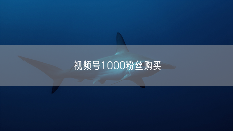 视频号1000粉丝购买