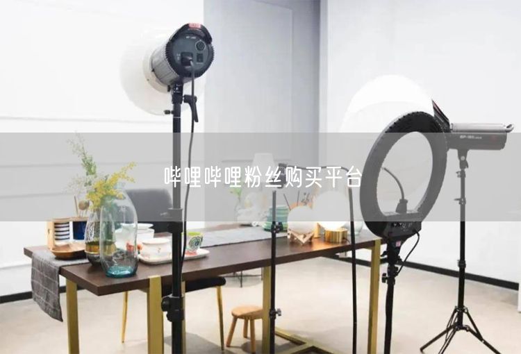 哔哩哔哩粉丝购买平台