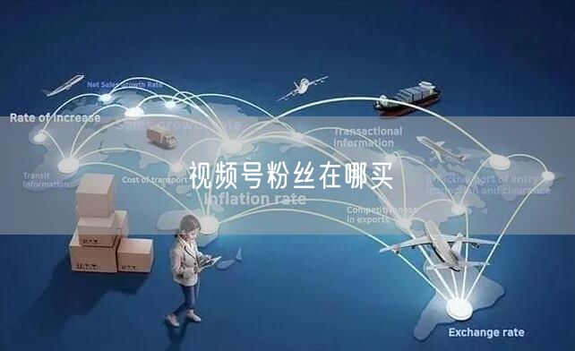 视频号粉丝在哪买