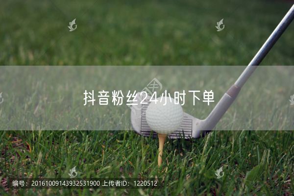 抖音粉丝24小时下单