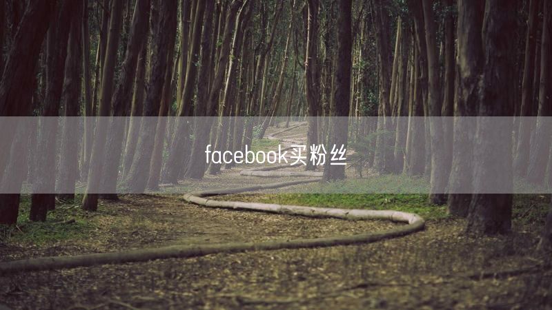 facebook买粉丝